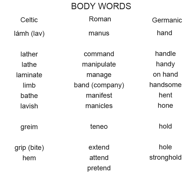 Body Words